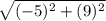 \sqrt{(-5)^2 + (9)^2}