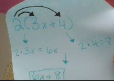 2(3x+4) what is the distributive property in simplifying the expressions