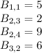 B_{1,1}=5\\B_{2,3}=2\\B_{2,4}=9\\B_{3,2}=6