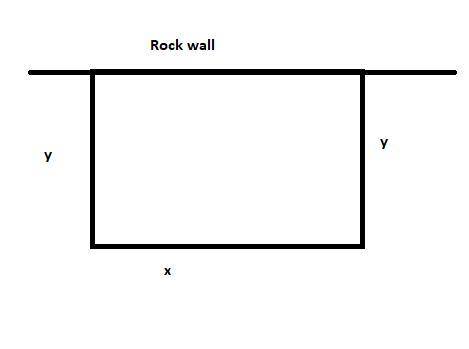 A rectangular deck is to be constructed using a rock wall as one side and fencing for the other thre