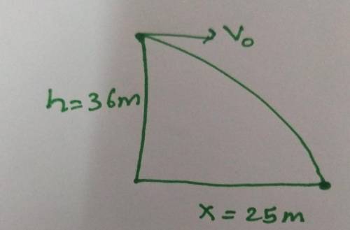 A soccer ball is kicked horizontally off a bridge with a height of 36m. The ball travels 25m horizon