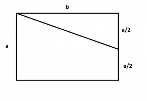 A rectangle has area 64 cm^2. A straight line is to be drawn from one corner of the rectangle to the