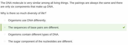 The DNA molecule is very similar among all living things. The pairings are always the same and there