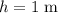 h = 1\; \rm m