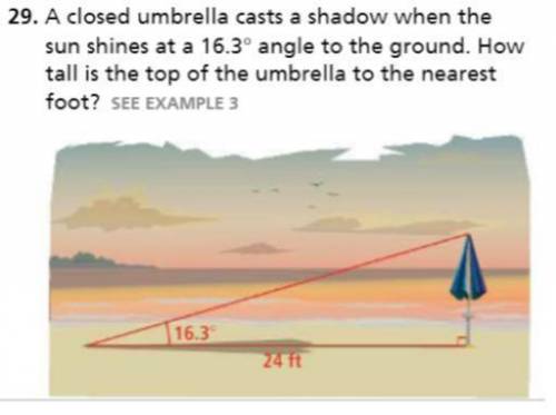 A closed umbrella casts a shadow when the sun shines at a 16.3-degree angle to the ground. how tall