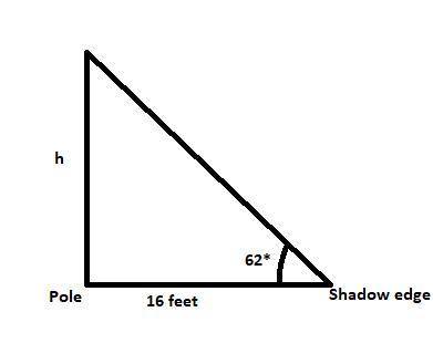 A school flag poll casts a 16 foot shadow on the lawn. A teacher stood at the shadows edge and measu
