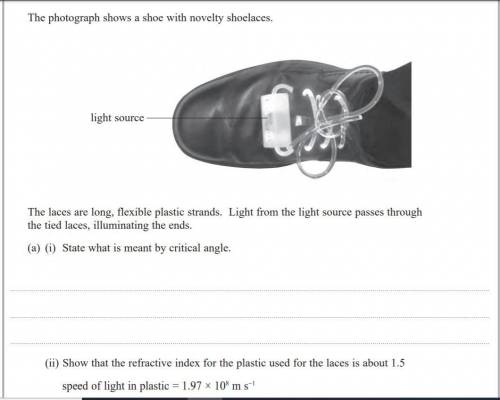 The photograph shows a shoe with novelty shoelaces. light source The laces are long, flexible plasti