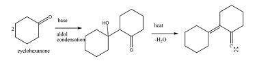 What product is obtained from the aldol condensation of cyclohexanone?