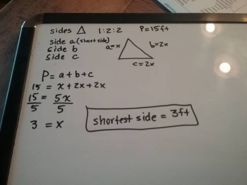 The sides of a triangle are in the ratio of 1: 2: 2 and the perimeter of the triangle is 15 feet. th