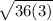 \sqrt{36(3)}