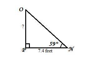 In ΔNOP, the measure of ∠P=90°, the measure of ∠N=59°, and PN = 7.4 feet. Find the length of OP to t