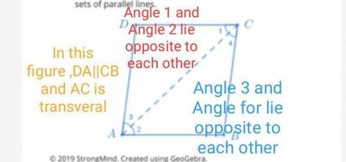 Which pairs of angles could Paola have concluded are congruent using the Alternate Interior Angles T