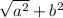 \sqrt{a^{2} }+b^{2}