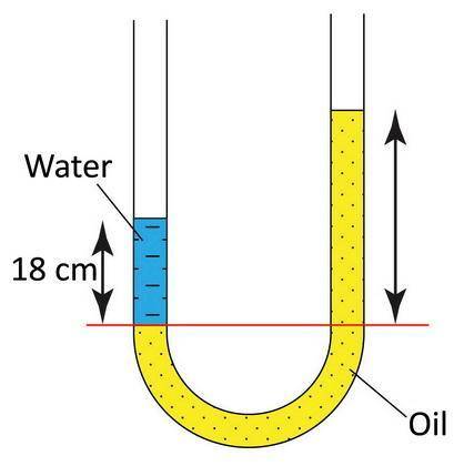 In laboratorio, versi in un tubo a U acqua da una estremità e olio dall'altra. Le densità dell'olio