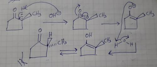 When optically active (S)-2-methylcyclopentanone is treated with aqueous base, the compound loses it