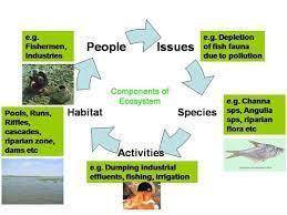 Which of the following ecological levels is correctly paired with its description? A) Organism - all