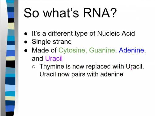 ADNA strand has the sequence GTTCCAGAG. Which is the complementary strand of RNA?

O CAAGGTCTC
O AGG