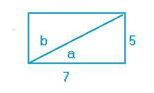 Find the acute angle between the diagonal of rectangle whose sides are 5cm and 7cm