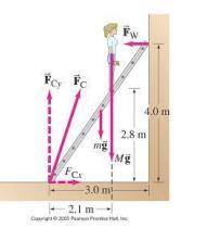 If the mass of the ladder is 12.0 kg, the mass of the painter is 55.0 kg, and the ladder begins to s