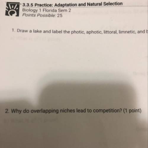Does someone have all the answer for this practice? ?