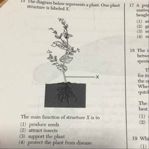 15 the diagram below represents a plant. one plant structure is labeled x. the main func