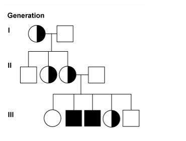 Refer to the figure showing a pedigree of a family affected by an x-linked recessive disorder. a fem