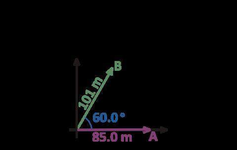 Find the magnitude and direction for 101m,60.0,85.0m