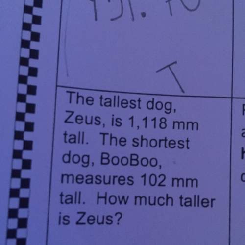 The tallest dog zeus is 1118 mm tall. the shortest dog boo-boo measures 102 mm tall. how much taller