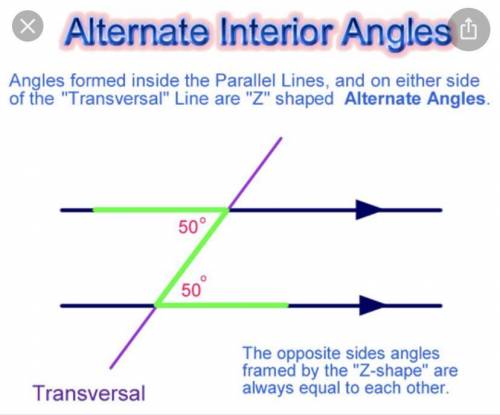 What are alternate angles in parallel lines