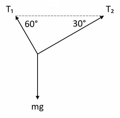 A body weighing 8 N is supported by two cables whose voltages T1 and T2 form angles of 60 ° and 30 °