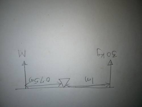 11. A seesaw sits in static equilibrium. A child with a mass of 30 kg sits 1 m away from a pivot poi