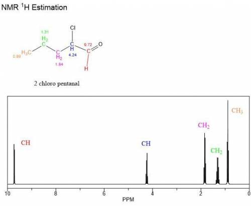 Discuss the contrary aspect of proton NMR and C-13 NMR by elucidating the structure of 2 chloro pent
