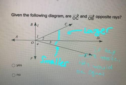 Given the following diagram, are OC and OE opposite rays ?