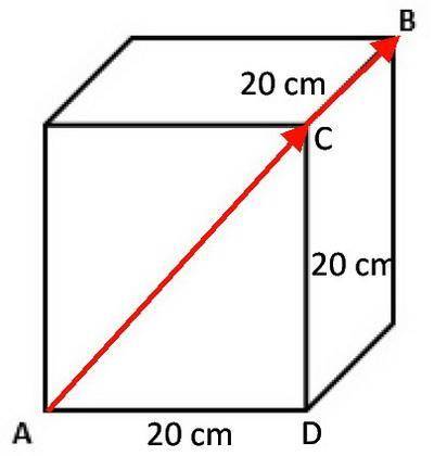 An ant needs to travel along a 20cm × 20cm cube to get from point A to point B. What is the shortest