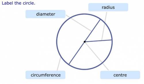 Which part is which from the circle