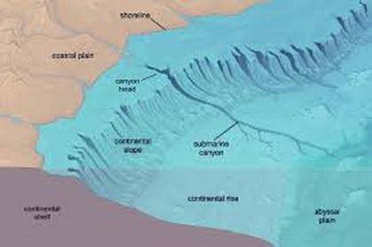 25. Which answer best describes the continental rise? area of land that drops toward deep ocean basi