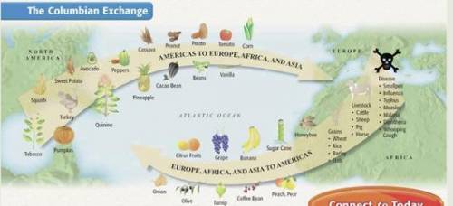 Explain causes of the Columbian Exchange and its effect on Europe and the Americas during the period
