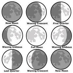 What is a difference between a waxing crescent and a waning gibbous? (1 point) waxing crescent: firs