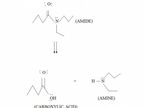 Draw the structure of the amine and carboxylic acid reactants required to form the following amide i