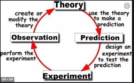 What is a theory in science