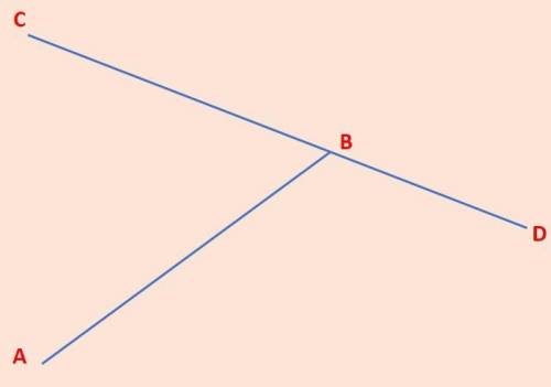 21. Name 8 different rays.

22. Name 2 pairs of opposite rays.
23. Name 2 lines that intersect at po