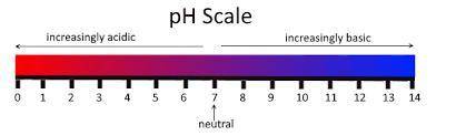 A solution with a pH of 9 contains

more OH– ions than H+ ions.
the same number of OH– ions and H+ i
