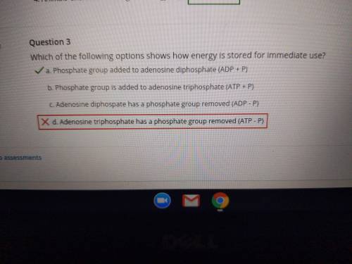 Which of the following options shows how energy is stored for immediate use?

immediate use?
a
Phosp
