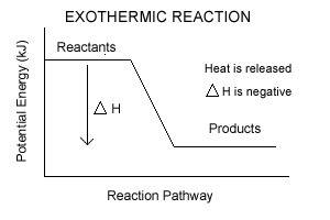 Idon't understand this. sketch a simple graph to show how energy changes in an exothermic reaction. 