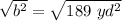 \sqrt{b^2} =\sqrt{189\ yd^2}