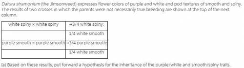 Based on these results, you put forward a hypothesis for the inheritance of the purple/white and smo