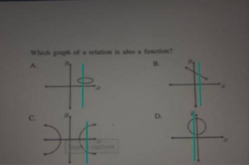 Which graph of a relation is also a function ?