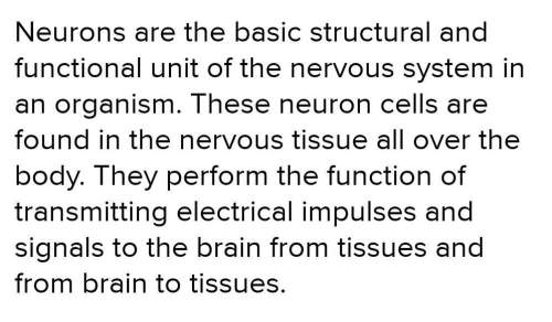 1. what are neurons, andwhere are they located? ​