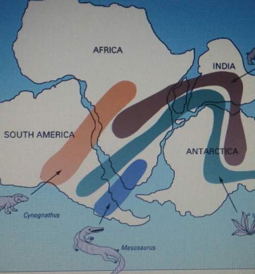 Two hundred and twenty-five million years ago, all of today's continents were part of a single conti