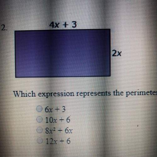 Which expression represents the perimeter of the rectangle above